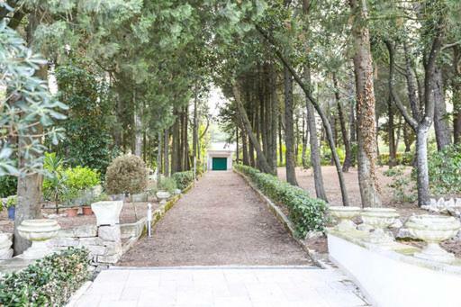 Trullo Villa Giulia マルティナ・フランカ エクステリア 写真